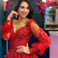 Red A Line Tulle Prom Dresses V Neck Beaded Feathers Long Sleeves Evening Party Formal Gowns Backless Sexy Robe De Soiree,LW008