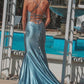 Stunning Mermaid Silver Long Prom Dress,DS0640
