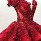 Ball Gown Off The Shoulder V-neck Sweet 16 Dresses Princess Ball Gowns,DS4259